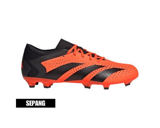 Adidas Predator Accuracy.3 Low FG