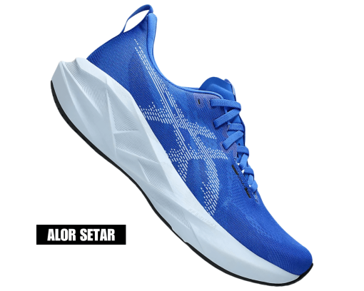 Asics Novablast 5