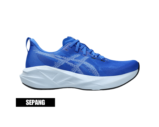 Asics Novablast 5