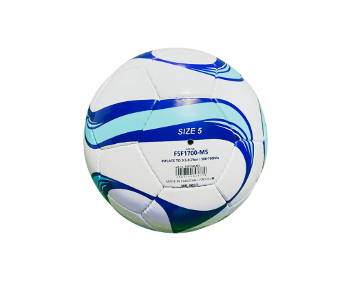 Molten 1700 MSSM Ball - Size 5 - Image 2