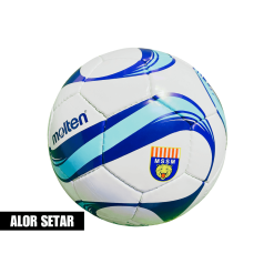 Molten 1700 MSSM Ball - Size 5