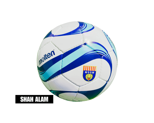 Molten 1700 MSSM Ball - Size 5