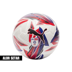 Puma Orbita 1 Sky Bet EFL 2024/25 Official Match Ball - Size 5
