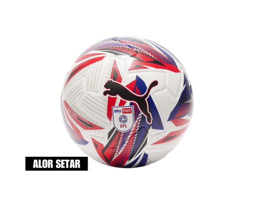Puma Orbita 1 Sky Bet EFL 2024/25 Official Match Ball - Size 5